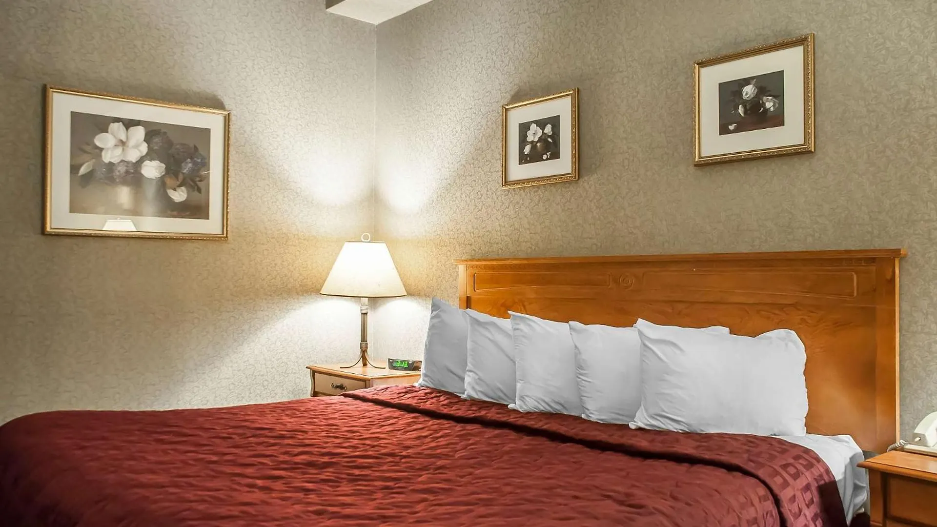 Comfort Inn Lundy'S Lane Niagara Falls