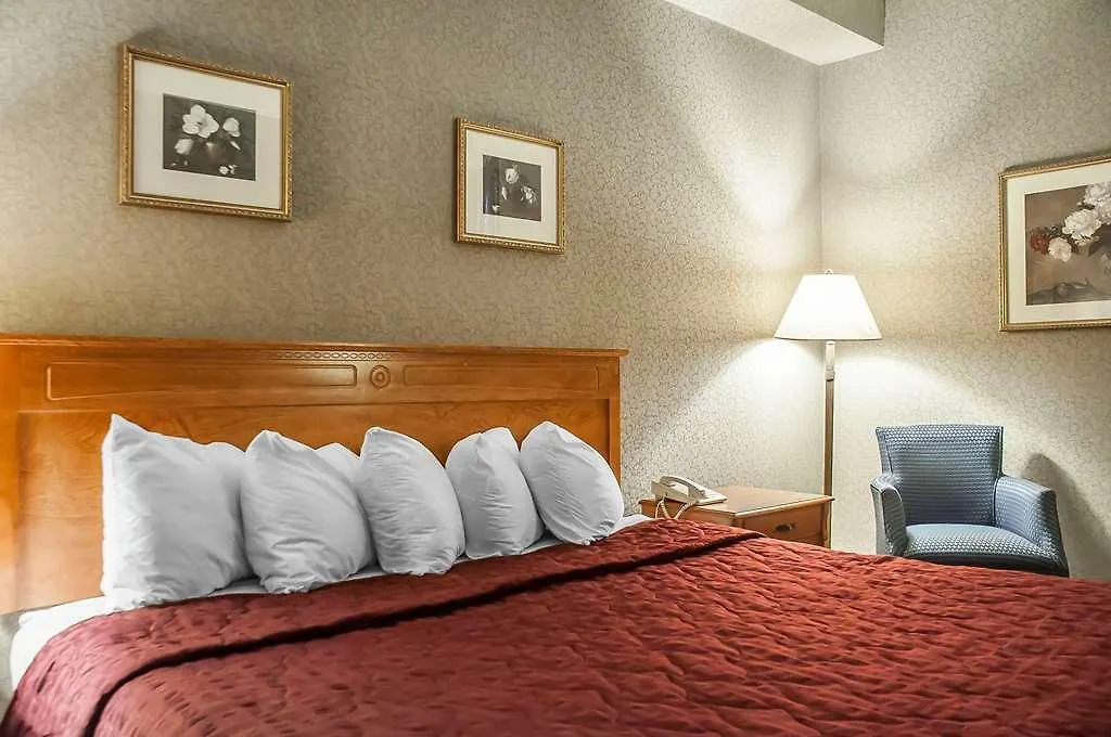 Comfort Inn Lundy'S Lane Niagara Falls