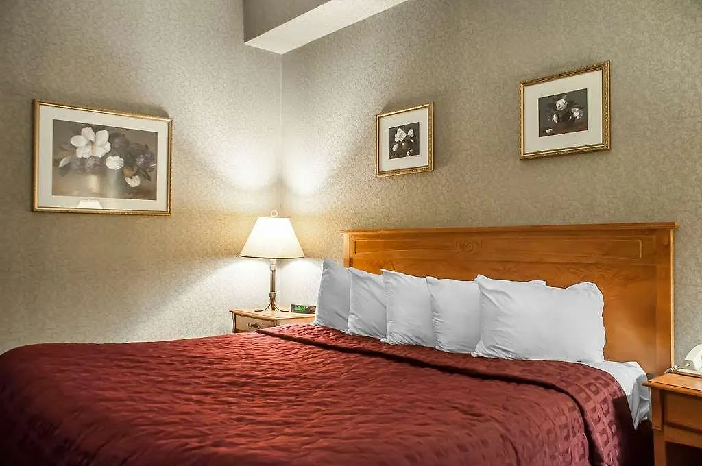 Comfort Inn Lundy'S Lane Niagara Falls