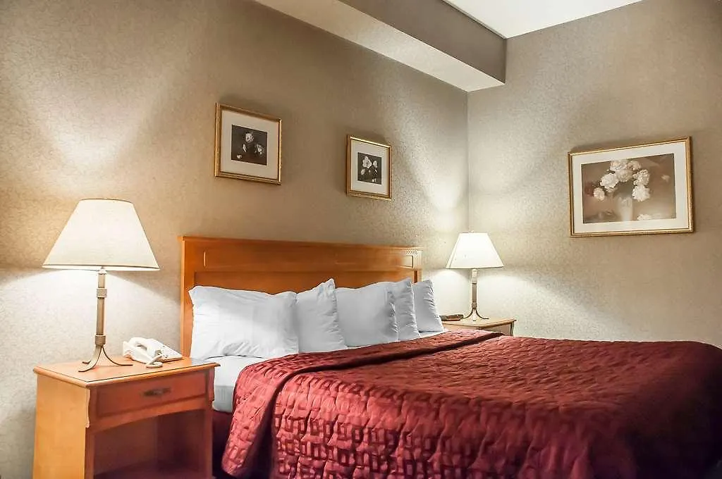 Comfort Inn Lundy'S Lane Niagara Falls 3*,