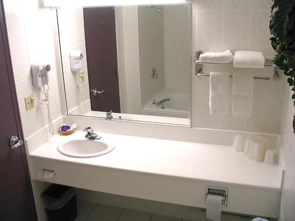 Comfort Inn Lundy'S Lane Niagara Falls