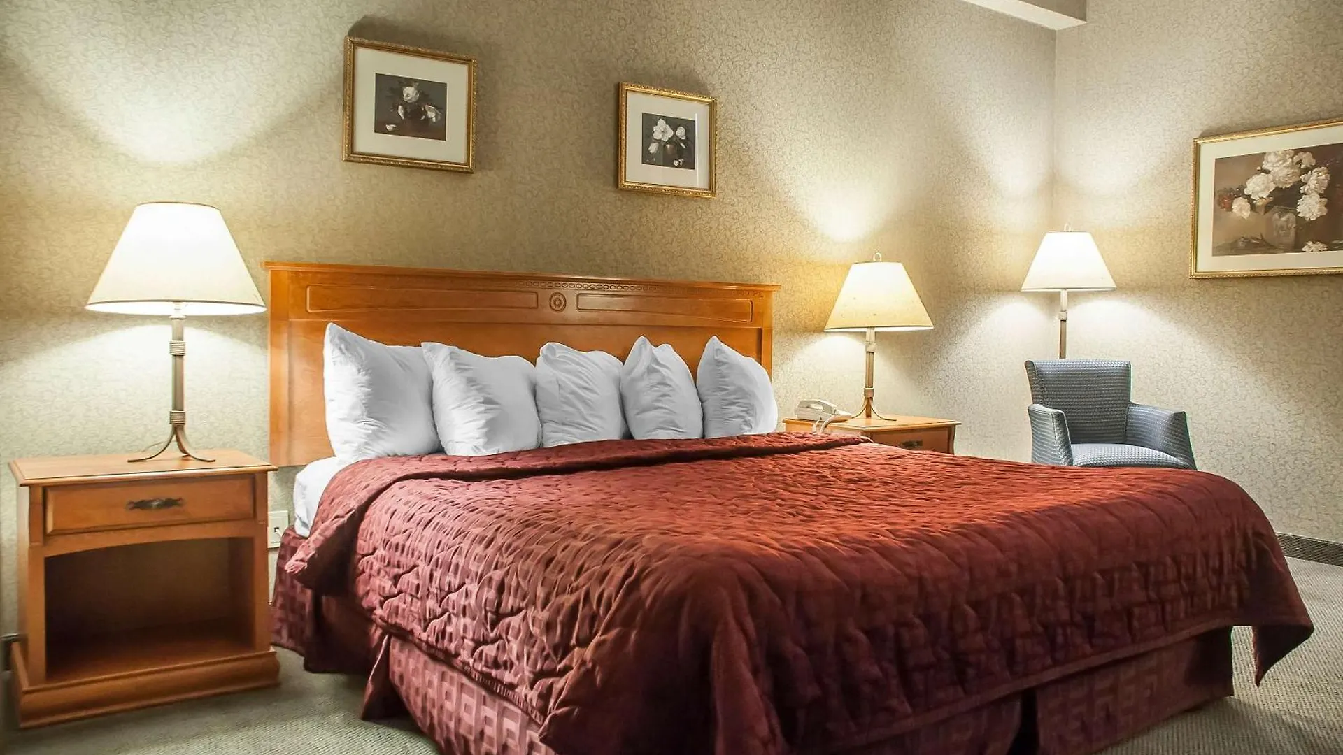 Comfort Inn Lundy'S Lane Niagara Falls