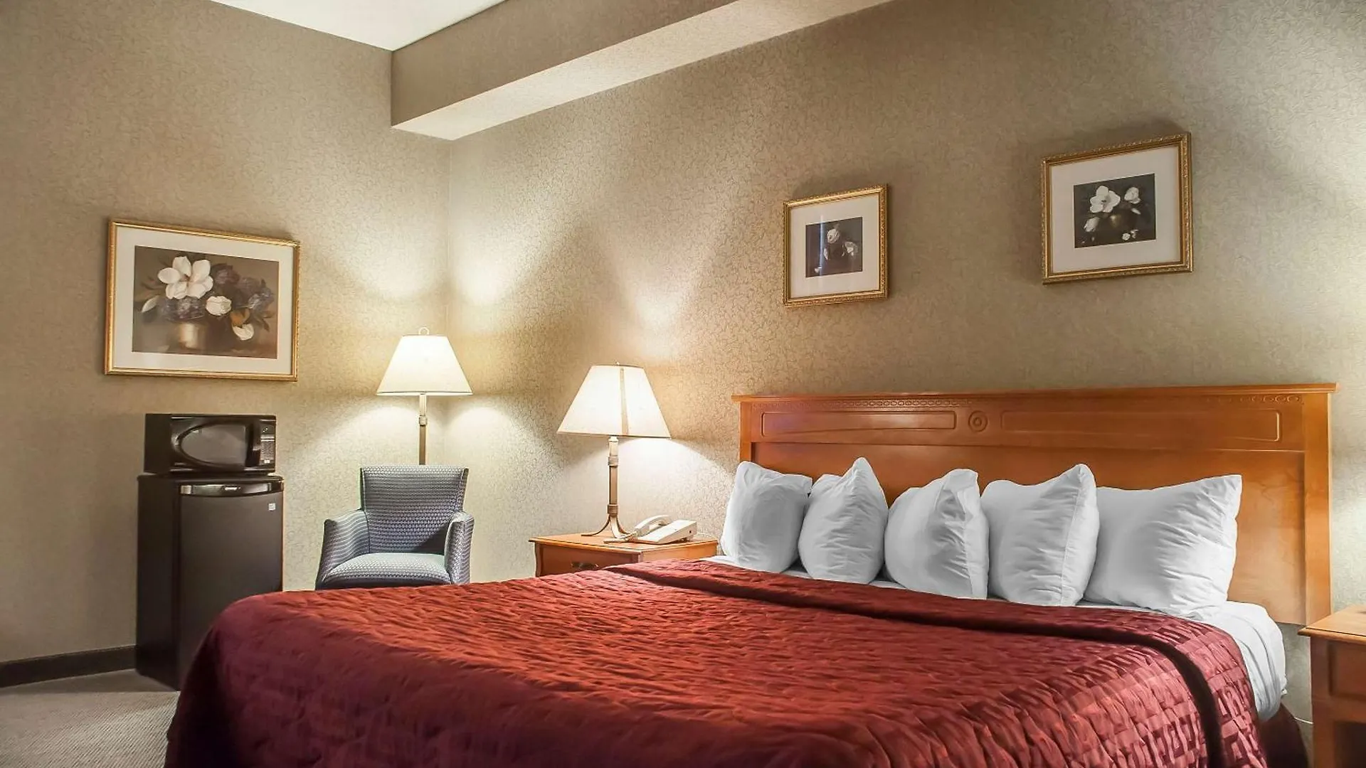 Comfort Inn Lundy'S Lane Niagara Falls